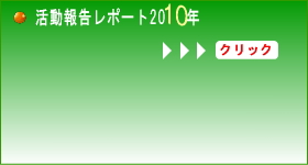 �����񍐃��|�[�g2010�N